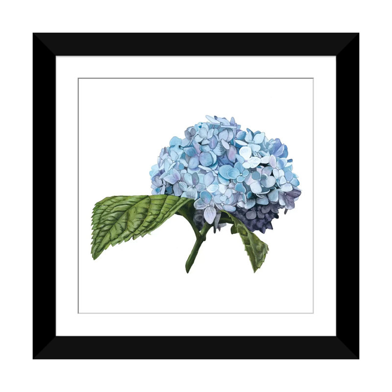 «Brighton Blooms I», impression sur toile, Papier d'art encadré noir, H 24 po x l 24 po x P 1 po, Blanc