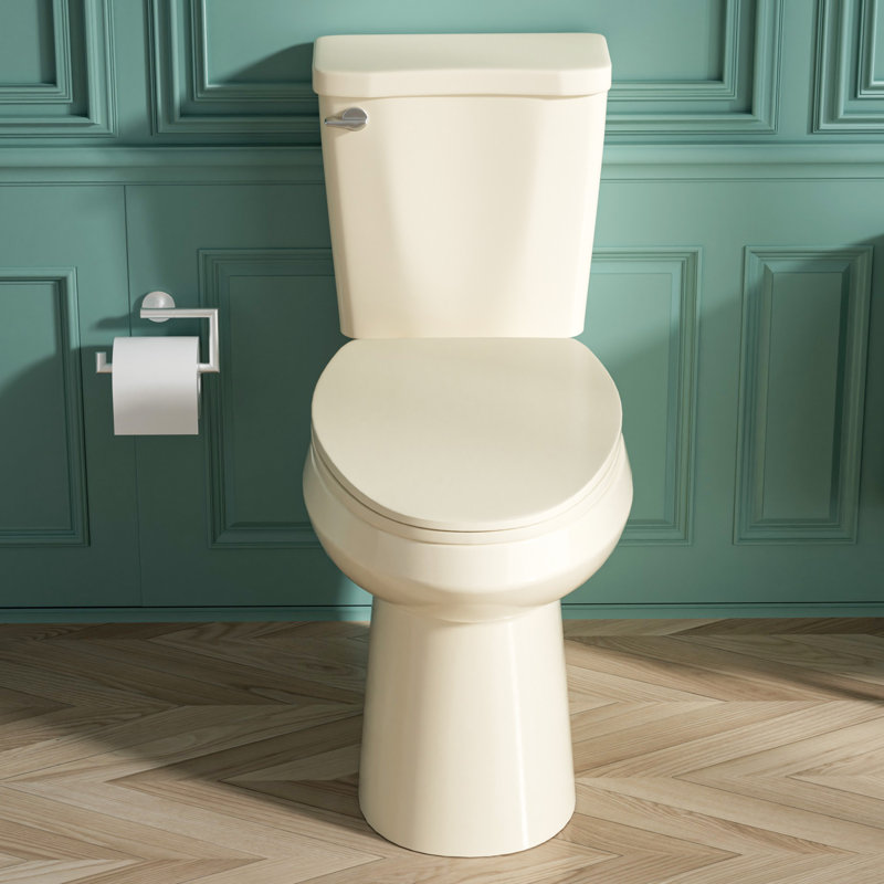 Aguamaph 20 in. White Elongated Two-Piece Toilet with Seat