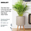 Plaited Style Cylinder Round Planter with Feet-2146352483-2146352486