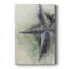 Found Starfish II - galerie sur mesure-1786803503