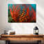 Corail de feu-107499612
