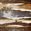 Ecco Decorative Pillow-752796684-739396617