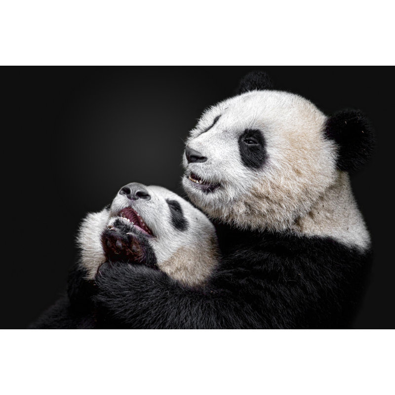 Wrapped Canvas Print, 50.8 cm H x 76.2 cm W