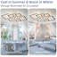 Ventilateur de plafond 33 pouces noir avec lumières, télécommande et contrôle d'application - Ventilateur de plafond à 7 pales et 6 vitesses à intensité variable pour le salon et la chambre à coucher