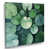 Wrapped Canvas
