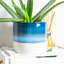 Nicola Spring - Reactive Glaze Plant Pots-63880890-63880896