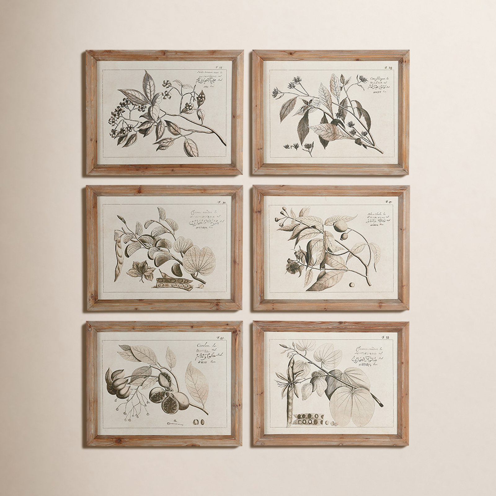 Maplewood "Fruit Bearing Branch" 6-Piece Print Set