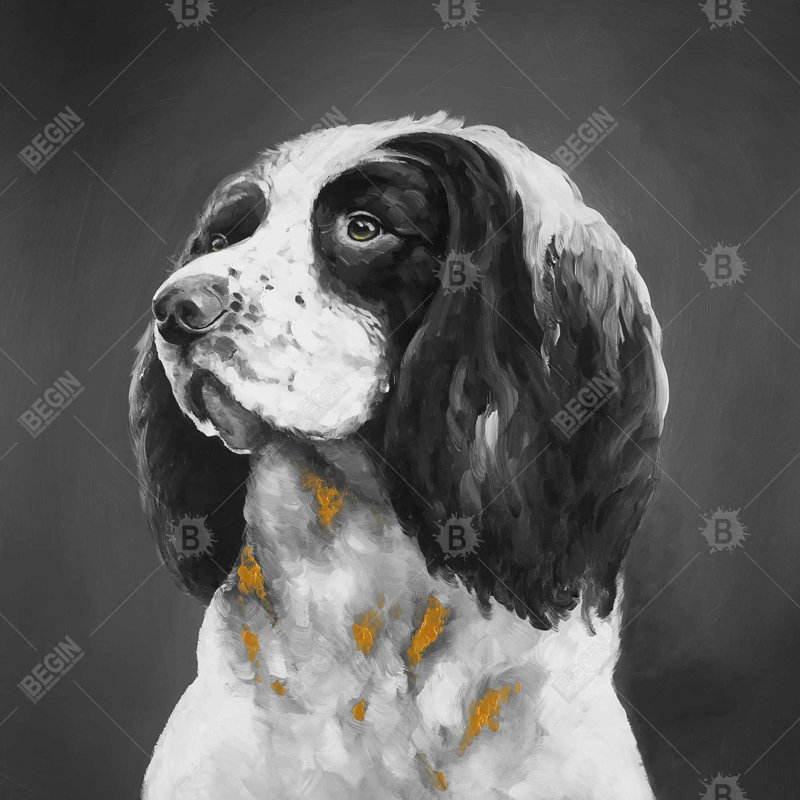 «English Springer Spaniel Dog»