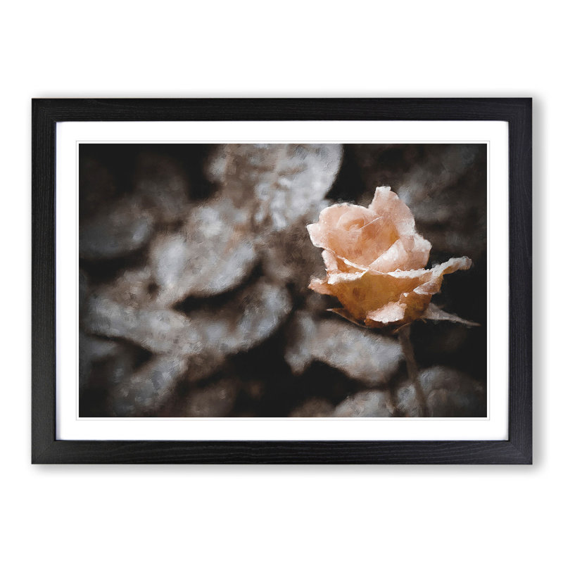Pink Rose Flower Vol.5 - Framed Print, 36cm H x 48cm W x 2cm D, Black Framed