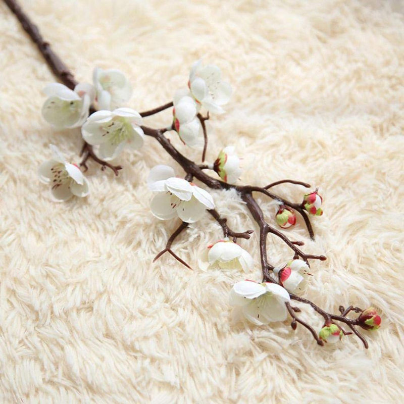 Tige de cerisier en fleurs, Blanc