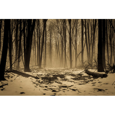 «The Long Walk Home» par Ehrlif - photographie sur toile tendue