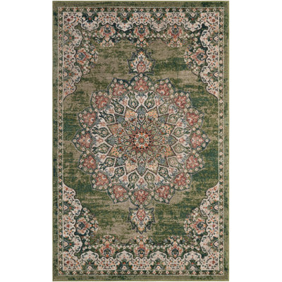 Tasharra Rug