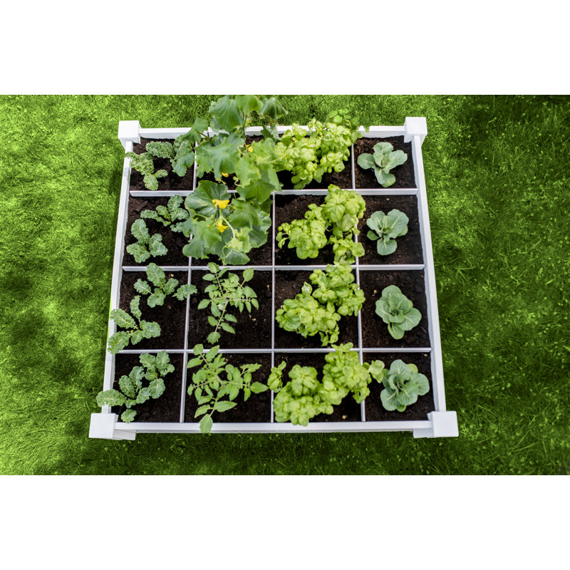 Wellinhall Raised Garden Bed, 11" H x 48" W x 48" D
