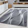 Parma Ombre Area Rug