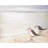 Two Sandpipers on the Beach Gray Polyester Placemat Decor
