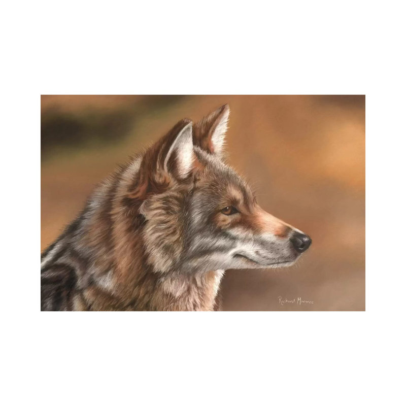 Coyote by Richard Macwee - Wrapped Canvas Print, 20.32 cm H x 30.48 cm W
