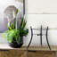 Portal Iron Planter