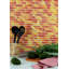 Carreau de mosaïque de verre à bord droit de qualité supérieure peint à la main 1 po x 4 po-82265728