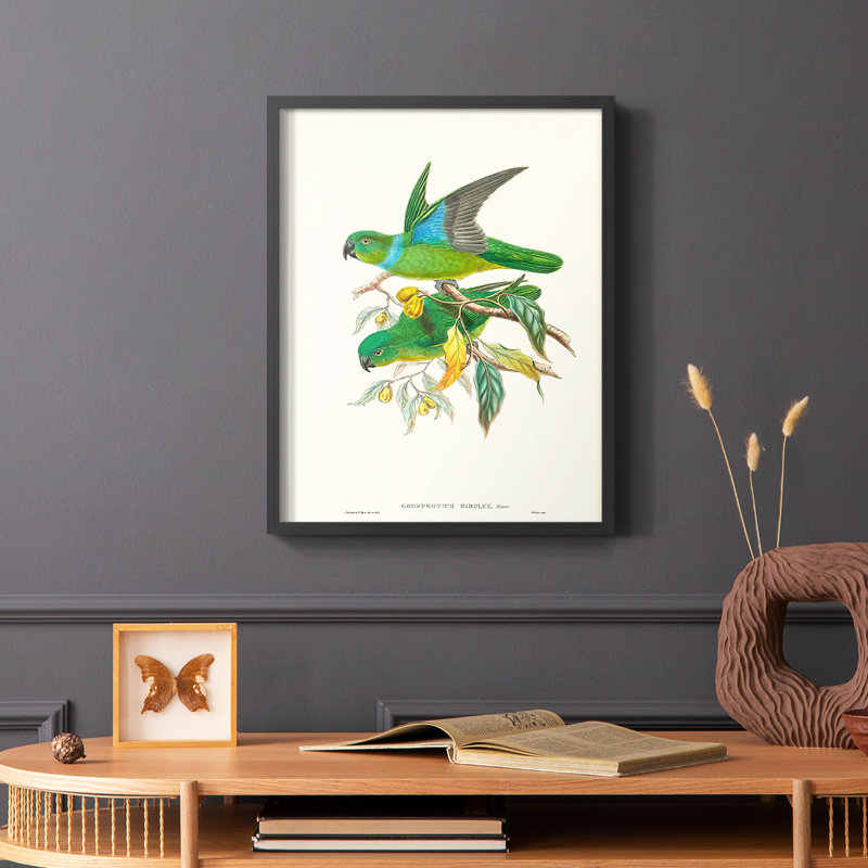 «Lime & Cerulean Parrots II», reproduction encadrée - bois massif, Noir, H 10 po x l 8 po