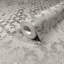 City Romance Collection Stippled Geometric Wallpaper Roll-465343606