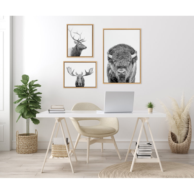 «Sylvie Bison Portrait Black and White, Stag Profile, and Moose» par Amy Peterson, ensemble d'art mural sur toile encadrée