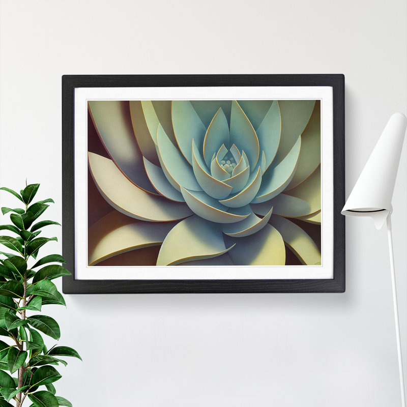 XH1022-6902X Phenomenal Succulent Plant - Single Picture Frame Print, Black Framed, 46cm H x 64cm W x 2cm D