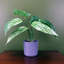 35cm Faux Plant in Pot Liner