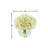Carruth Hydrangea in Vase