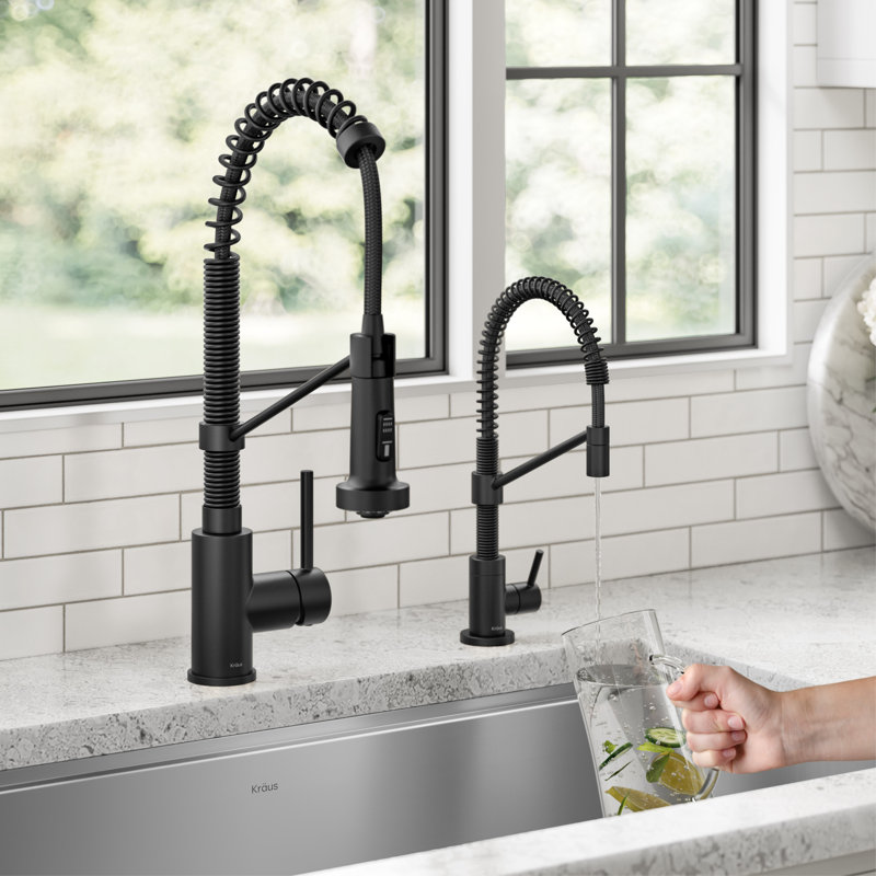 Bolden Commercial Style Pull Down Kitchen Faucet And Water Filter Faucet Combo, Matte Black