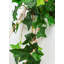 Fausse plante botanique suspendue 64 pouces