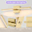 Luminaire de meuble-lavabo à DEL 23,6 po 23 W or pour meuble de salle de bain-1691239286-1691239304