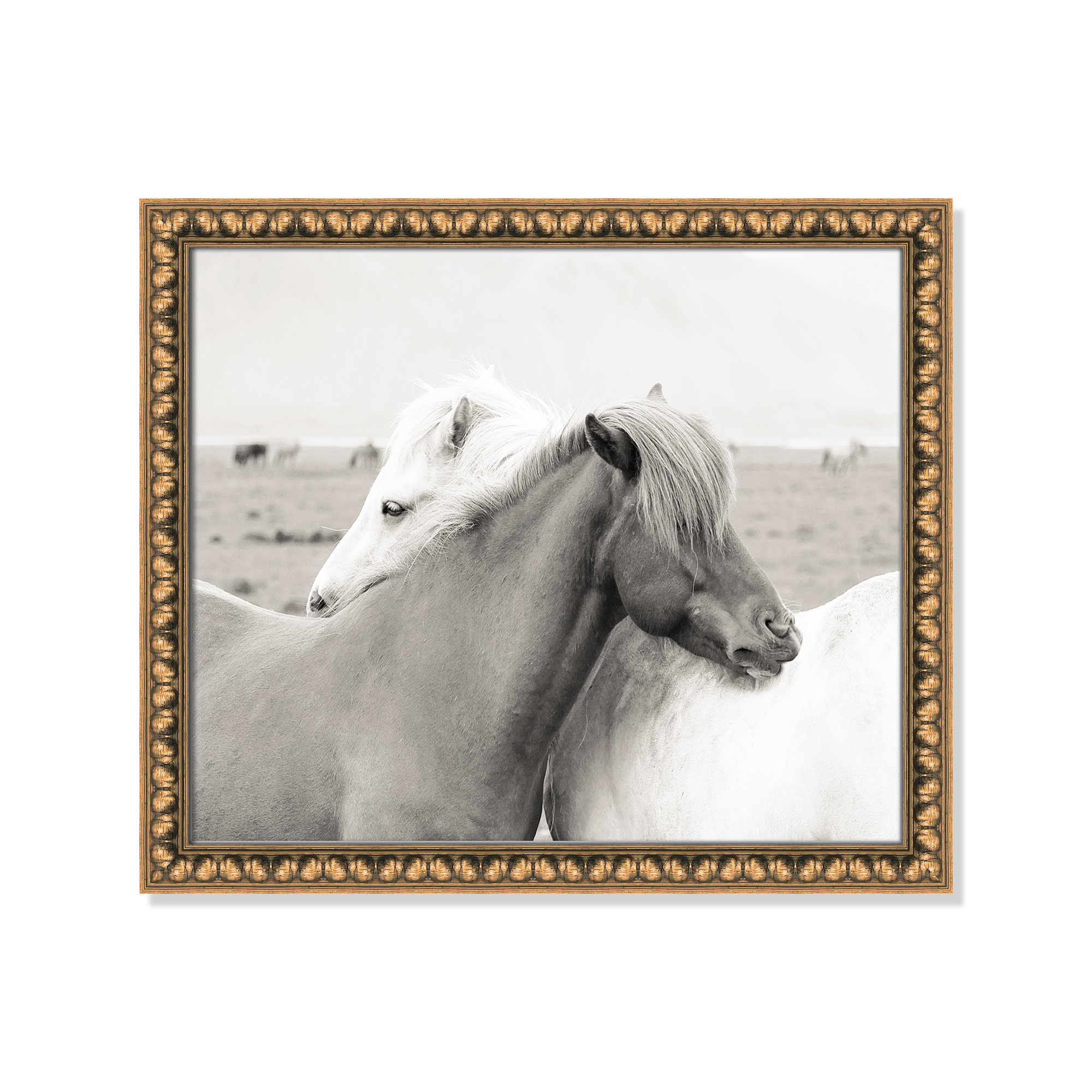 Icelandic Meadow Horses by Danita Delimont - Picture Frame Photograph on Paper, 17" H x 20" W x 1.13" D, Gold Bead Framed