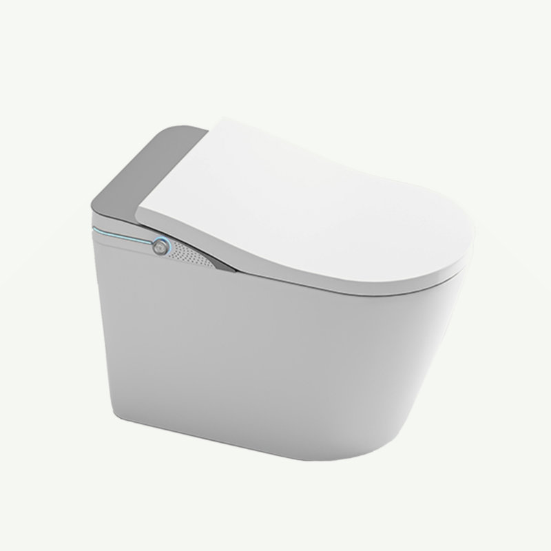 Toilette bidet allongée sans réservoir, chasse d'eau automatique, siège chauffant, lavage à l'eau chaude instantanée, sécheuse