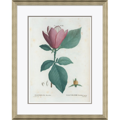 Magnolia Giclee Print by Paul Cezanne