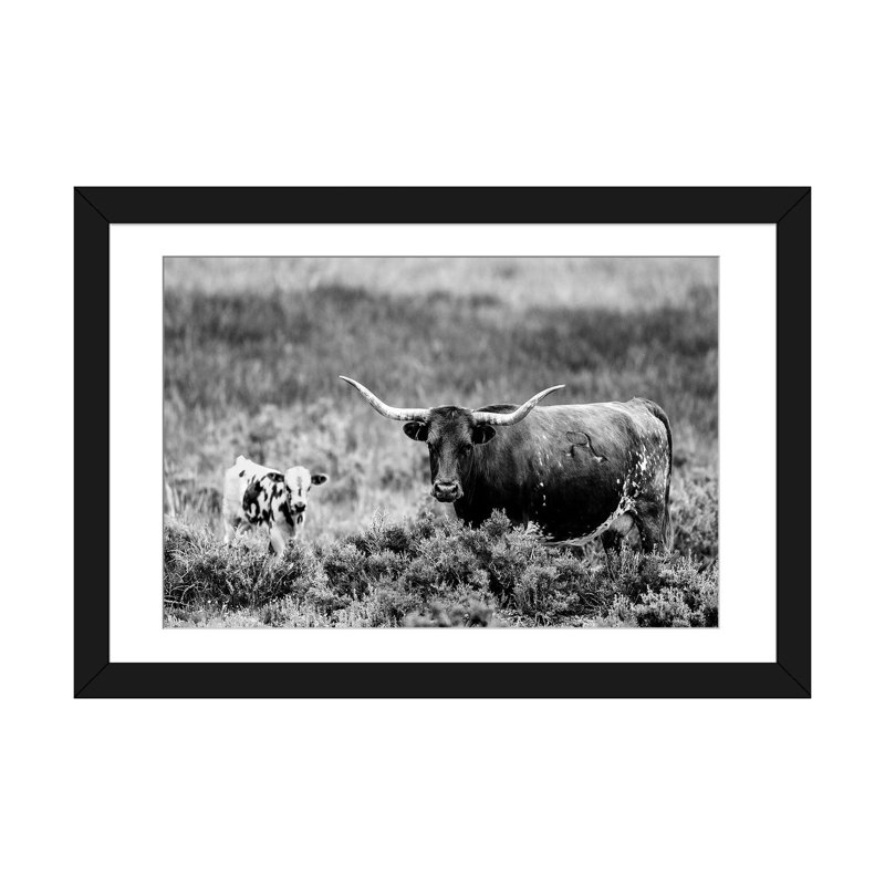 « b&w longhorn ii », reproduction de photo sur toile, H 24 po x l 32 po x P 1 po, Papier d'art encadré noir