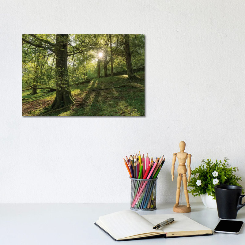 Summer Woodland by Adam Burton - Wrapped Canvas Gallery-Wrapped Canvas Giclée, 20.32 cm H x 30.48 cm W