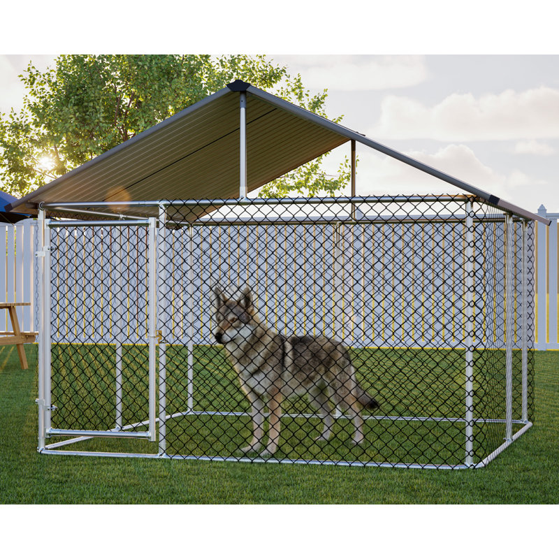 Chenil d'extérieur robuste pour chiens de grande taille, cage pour chien en acier enduit de rouille avec toit en métal robuste, verrou sécuritaire