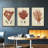 " Shell Collection IV " 3 - Pieces-1718806884-1718806895