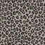 Kids and Teens Collection Fun Leopard Wallpaper Roll-77796636