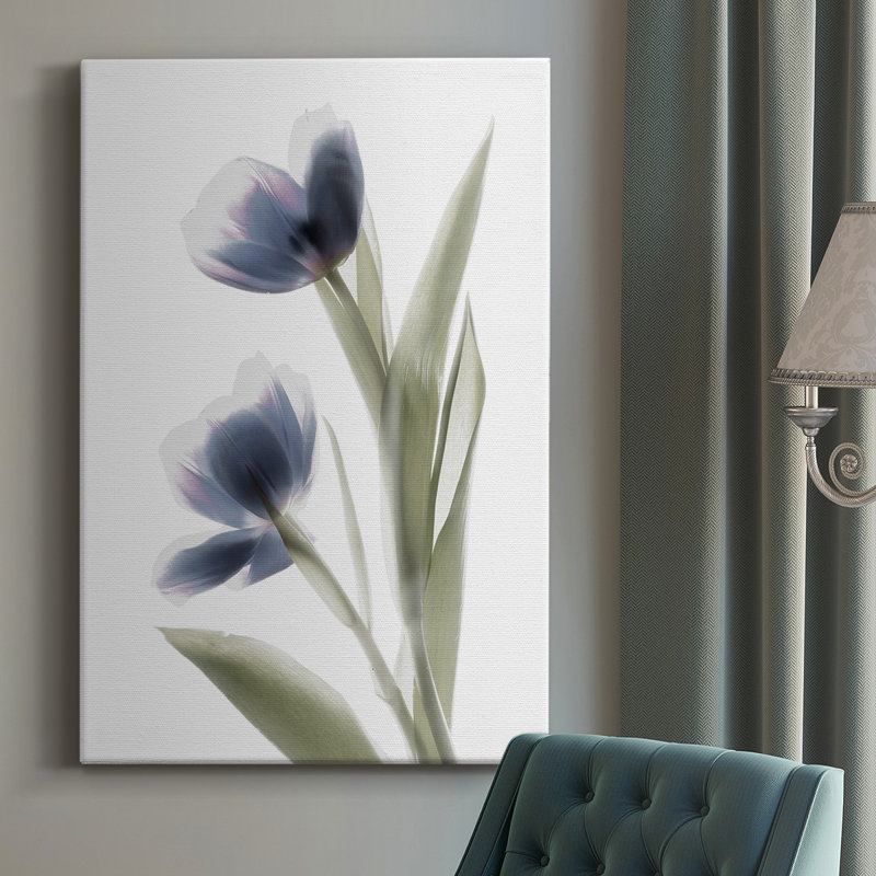 Xray Tulip V - impression sur toile tendue, H 18 po x l 12 po x P 1 po
