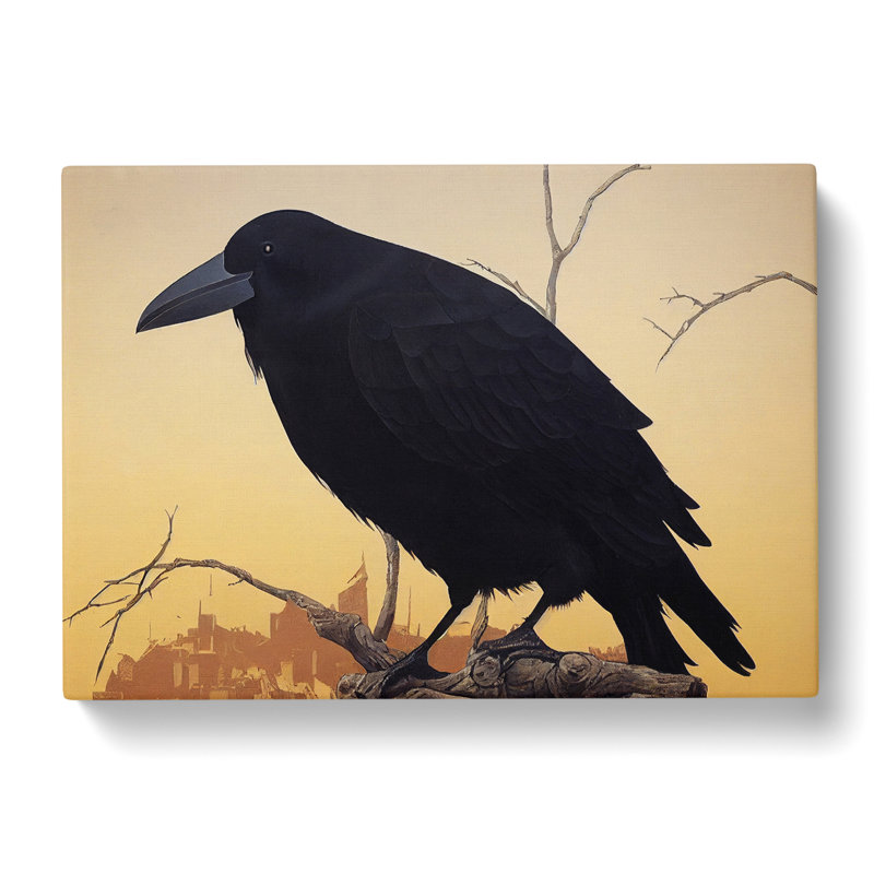 Amazing Crow Bird - Wrapped Canvas Print, 35cm H x 50cm W x 3cm D