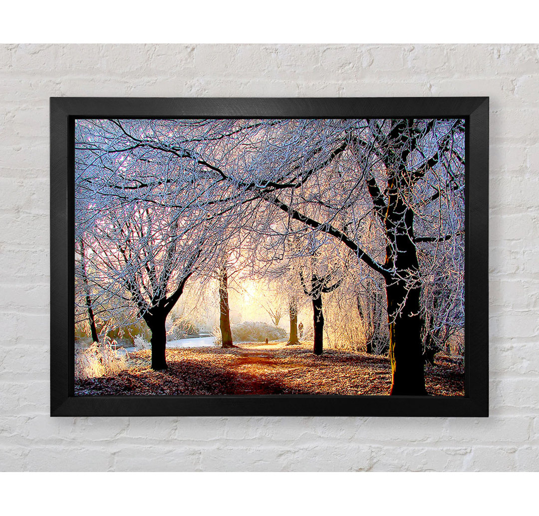 Beautiful Winter Light - Einzelner Bilderrahmen Kunstdrucke