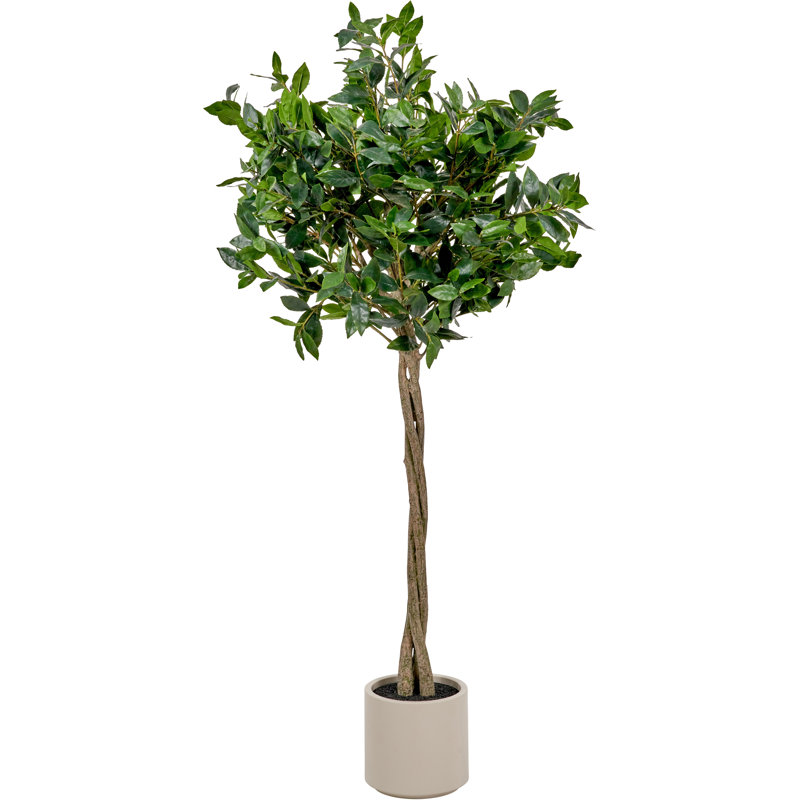 150cm Faux Plant in Cement Pot