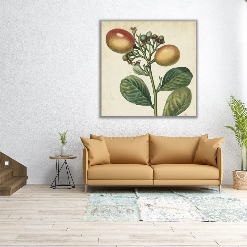 «Garden Bounty I», reproduction d'art sur toile, H 20 po x l 20 po