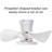 22 inch Quiet Ceiling Fan with Light and Remote Control-1790926686