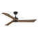 Sculpt 60" LED Fan