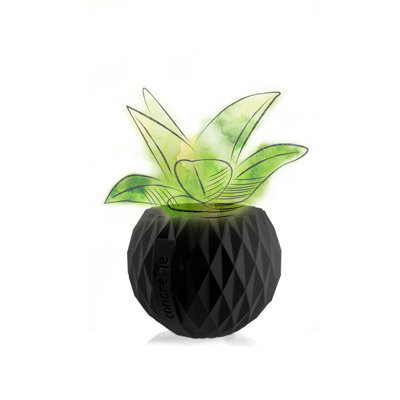 Handmade Pot Planter