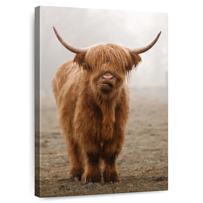 Brampt Horned Highland Cow, 48" H x 32" W