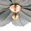 Boca Semi-Flush Chandelier