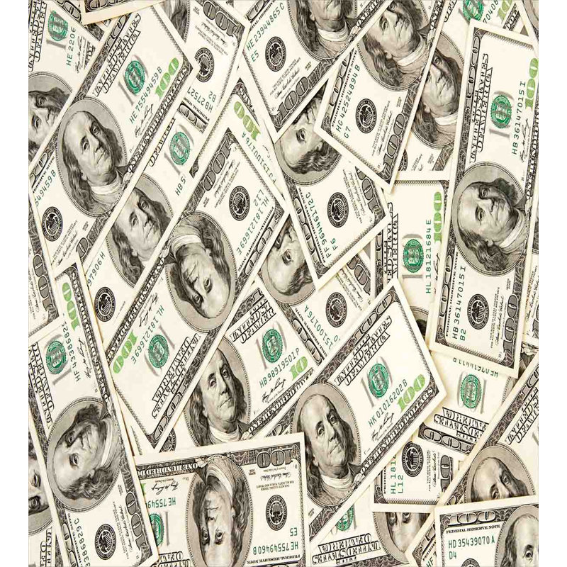 Twin Size Money Pattern Microfiber Duvet Cover Set